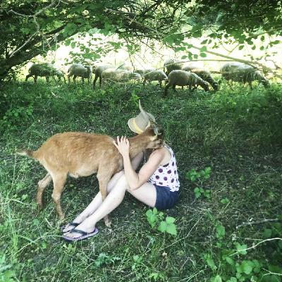 Sur les chemins du Verdon, Barbara et ses patous