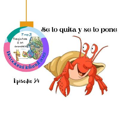 Episodio 34: Se lo quita y se lo pone.