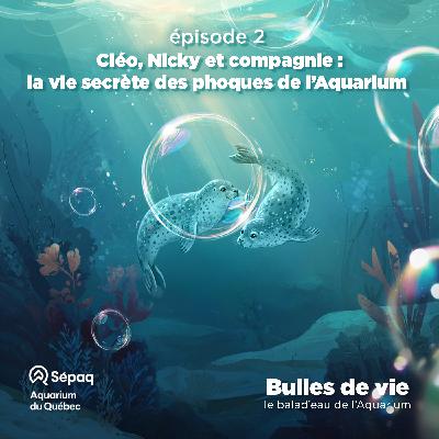 Épisode 2 - Cléo, Nicky et compagnie : la vie secrète des phoques de l’Aquarium Épisode 2 - Cléo, Nicky et compagnie : la vie secrète des phoques de l’Aquarium