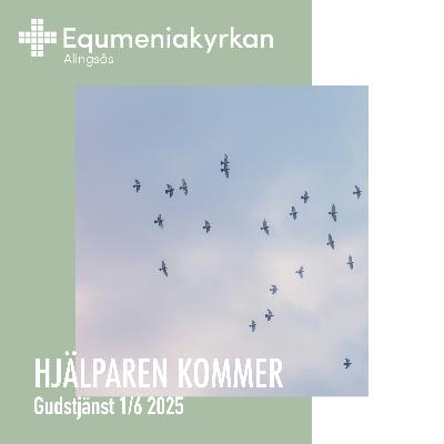 250601 - Hjälparen kommer - Noomie Hammar