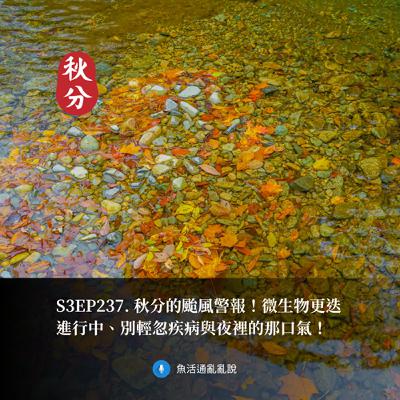 S3EP237. 秋分的颱風警報！微生物更迭進行中、別輕忽疾病與夜裡的那口氣！