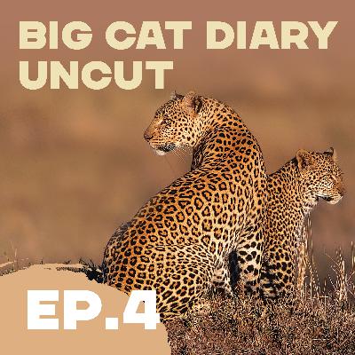 EPISODE 04: Big Cat Diary Uncut – '2002: Cubs Galore – Marsh Pride, Honey and Zawadi' EPISODE 04: Big Cat Diary Uncut – '2002: Cubs Galore – Marsh Pride, Honey and Zawadi'