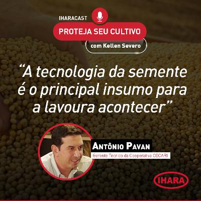 #39 - Semente de soja com incremento de produtividade de novas tecnologias