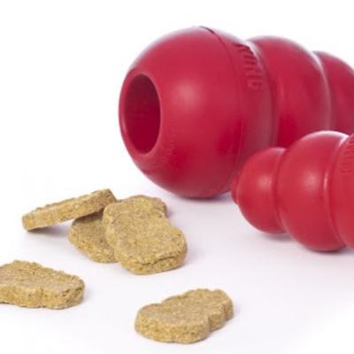 Taste Tests with Your Dog's Food Toys