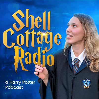 110 - Harry Potter and the Goblet of Fire | Chapter 27: Padfoot Returns