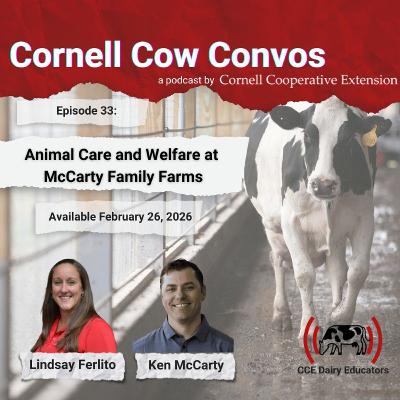 Cornell Cow Convos E33 Animal Care and Welfare at McCarty Family Farms