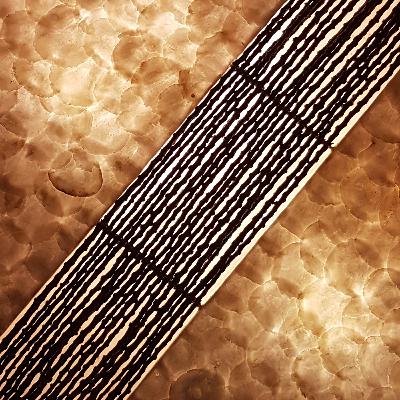 Leo & Philosophie speaking and waiting for answers with the universe