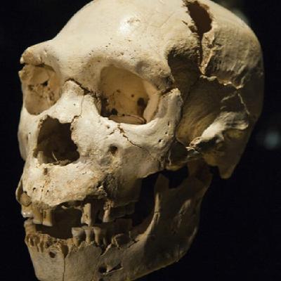 Atapuerca, rompiendo moldes.