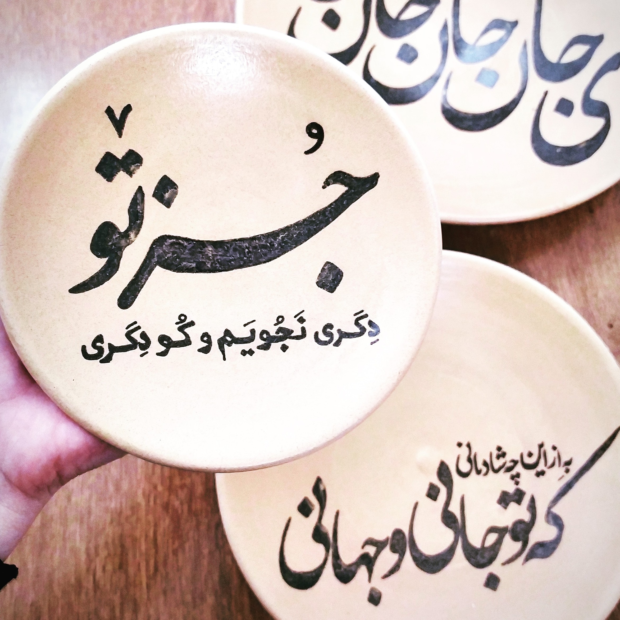Nina Shahrokhi's Show
