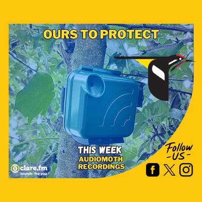 Ours To Protect - Final Episode - October 24th Ours To Protect - Final Episode - October 24th