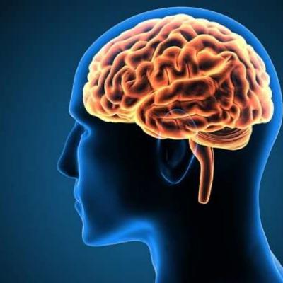 Comparison of a strong and weak mind.