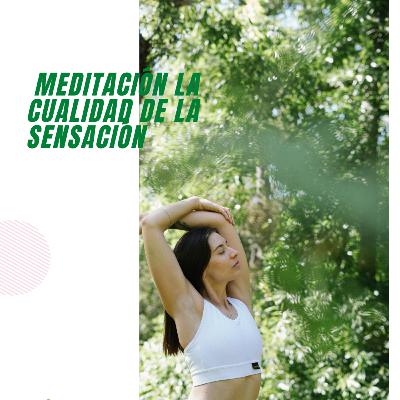 Meditación#4: "La Cualidad de la sensación"