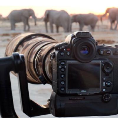 Guia para hacer un Safari Fotográfico en Africa. Parte primera. La importancia del lugar. Guia para hacer un Safari Fotográfico en Africa. Parte primera. La importancia del lugar.