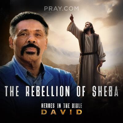 Chapter 28: The Rebellion of Sheba Chapter 28: The Rebellion of Sheba