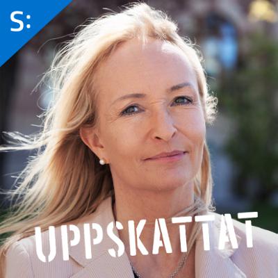 Liselott Martynenko Agerlid om regeringens gröna angrepp på offentlighetsprincipen