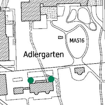 Blutbuchen im Adlergarten