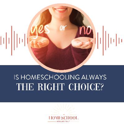 Should Everyone Homeschool: The Surprising Perspective