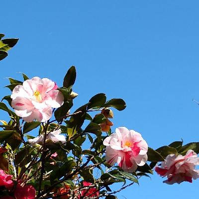 Chapter 26: For you, querido