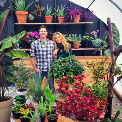 What’s this Gardening Year Going to Look Like?