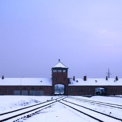 The Nazi Experiment, Vol. 3: The Individual Nazi in the Nazi State