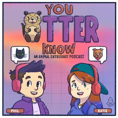 Ep 09: Interesting Eating Habits Ep 09: Interesting Eating Habits