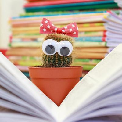 Uma professora muito maluquinha e a pedagogia da autonomia