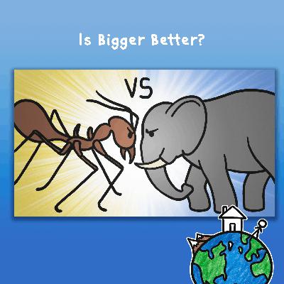 Is Bigger Better? Is Bigger Better?