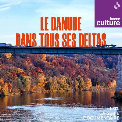 Le Danube dans tous ses deltas, carnets de terrain 4/4 : Ada Kaleh : le rêve ottoman d'une île perdue