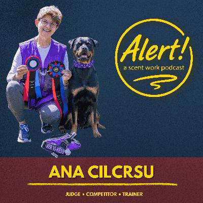 Ana Cilursu | Seeing Searches the Way Your Dog Does Ana Cilursu | Seeing Searches the Way Your Dog Does