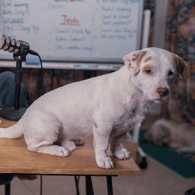 REAN THOT for review