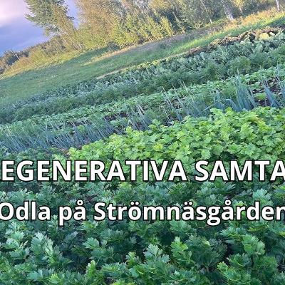 En affärsmöjlighet