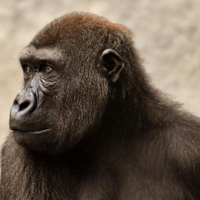 Normal porn for normal people (deutsch/NSFW)