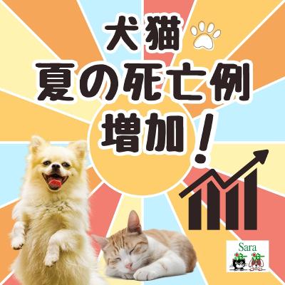 #1011. 夏の死亡例が増加！改めて注意喚起（質問に回答）