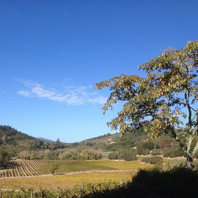 Mother's Day and Wine