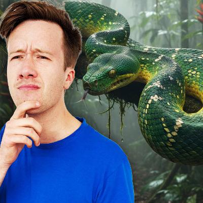 MIDWEEKLY: How Do Snakes Move?🐍💨 MIDWEEKLY: How Do Snakes Move?🐍💨