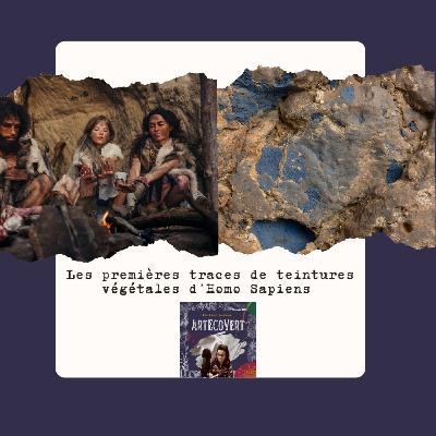 DECOUVERTES Les vraies premières teintures végétales de l'Histoire, quand Homo Sapiens découvre le bleu