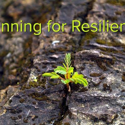 Episode 50: Building resilient communities