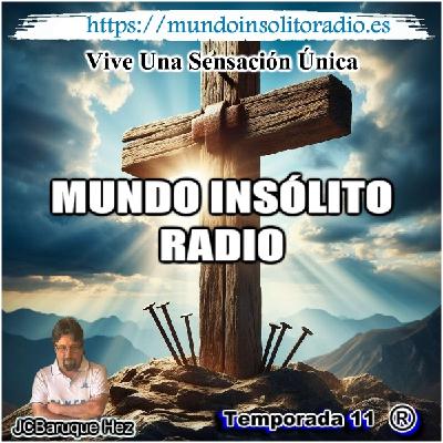 828/11. ¿Era Jesucristo un guerrillero?