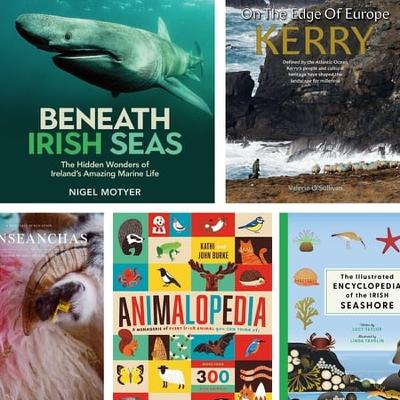 Nature Book Suggestions For Christmas