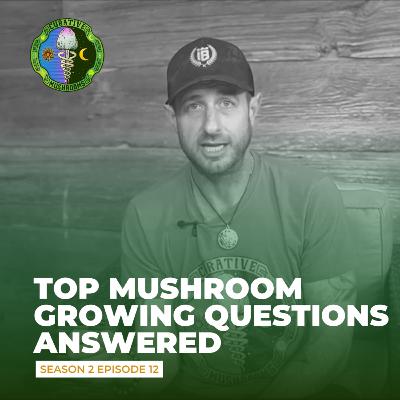 Answering The Most Common Mushroom Growing Questions Answering The Most Common Mushroom Growing Questions