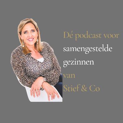 #3 De invloed van stress vanuit het samengesteld gezin en hoe fysiek de balans te herstellen