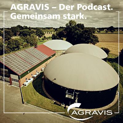 5 Fragen zum Thema – Nachhaltigkeitszertifizierung bei Biogasanlagen