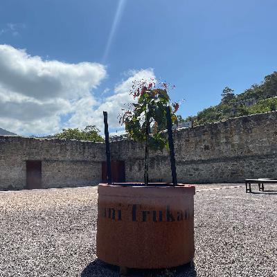 Chapter 10: Trukanini (Location: Yard 1)