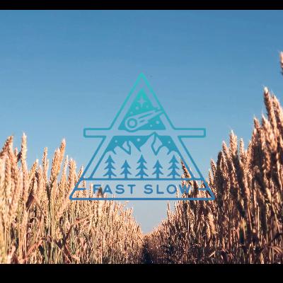 Meditation: Grounding Meditation - 'a yawn is the final rattle of ideas released' Meditation: Grounding Meditation - 'a yawn is the final rattle of ideas released'