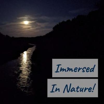 Niobrara River sleep sounds (sonidos de la naturaleza para dormir) - 10 hours of nighttime crickets, soothing river sounds, eastern screech owl song - sonidos de grillos, del río y de un tecolote