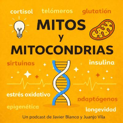 Ep2 De la glucosa a la grasa: cómo trabaja tu mitocondria