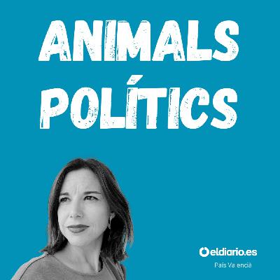 Ep. 4 - El Consell dels pitjors