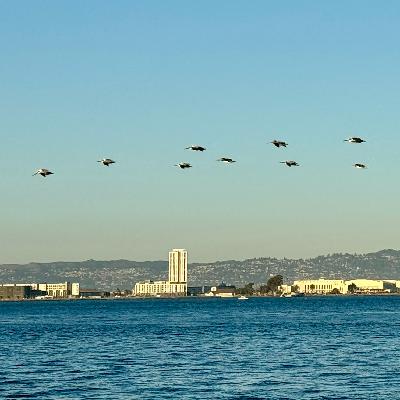 19 -《女性主义有什么用》| 更多声音，更多可能性