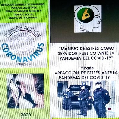 MANEJO DE ESTRÉS COMO SERVIDOR PUBLICO ANTE LA PANDEMIA DEL COVID-19