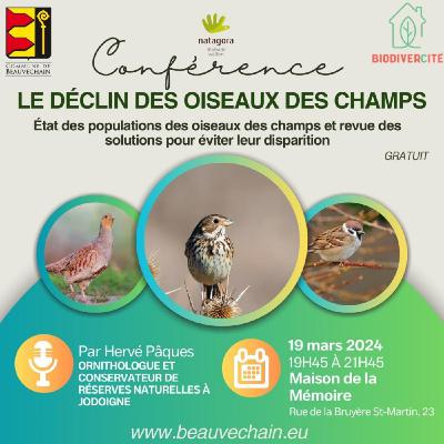 Conférence sur les oiseaux environnement Beauvechain